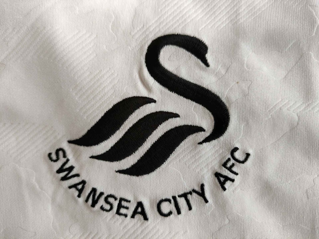 Swansea Coty AFC