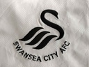Swansea Coty AFC