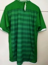 Selección de Irlanda