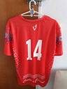 14 - Defensores de Cambaceres