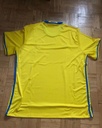 Selección de Suecia - Ninguno