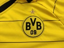 Borussia Dortmund