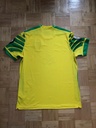 Norwich City FC - Ninguno