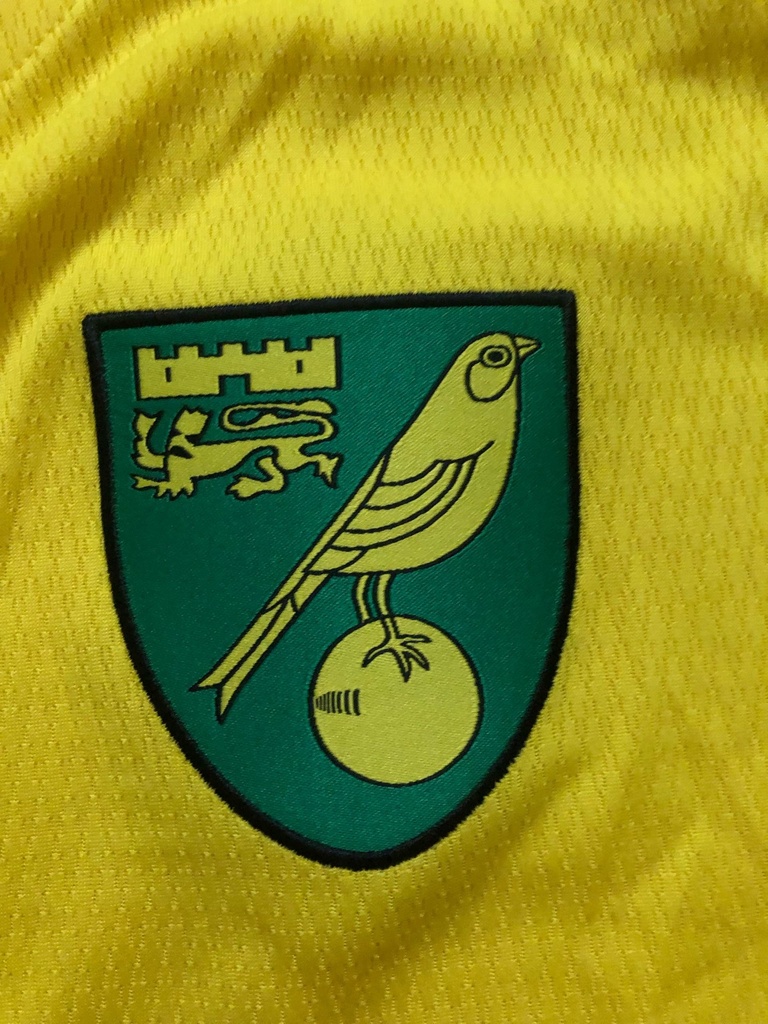 Norwich City FC - Ninguno