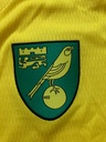 Norwich City FC - Ninguno