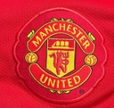 14 - Manchester United - Chicarito