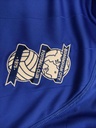 Birmingham city