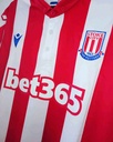11 - Stoke City - McClean
