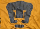 Pumas