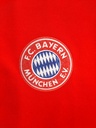 FC Bayern München