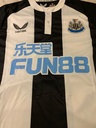 11 - Newcastle United - Ritchie