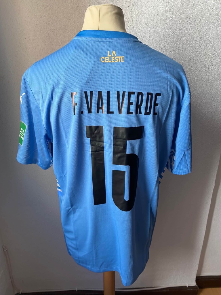 15 - Seleccion Uruguay - F.Valverd