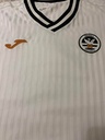 Swansea City A.F.C