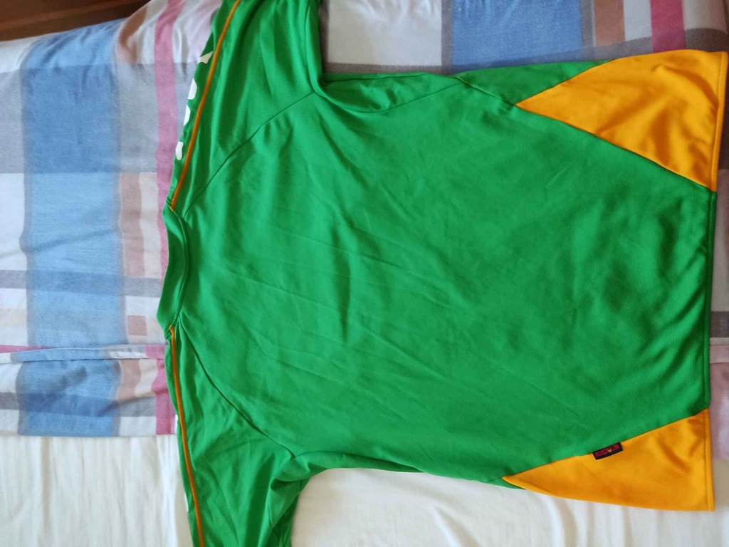 Tokyo Verdy 1969 Football Club (東京ヴェルディ)