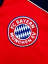 3 - FC Bayern München