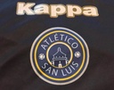 Atletico San Luis