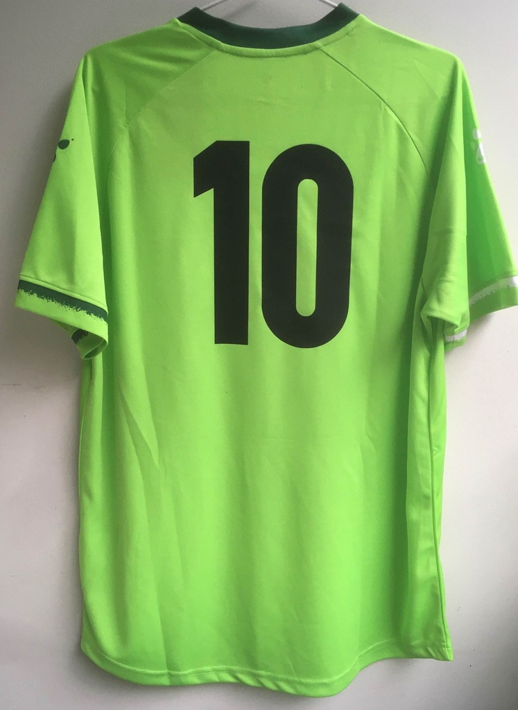 10 - Xinjiang FA