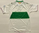 Elche