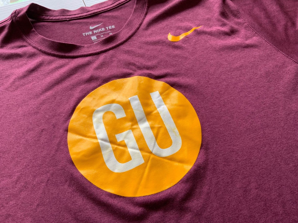 Gannon University