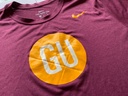 Gannon University