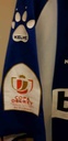 16 - Deportivo Alaves - Dani torres