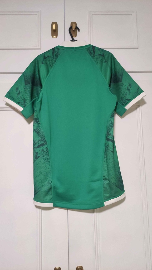 Selección irlandesa - .
