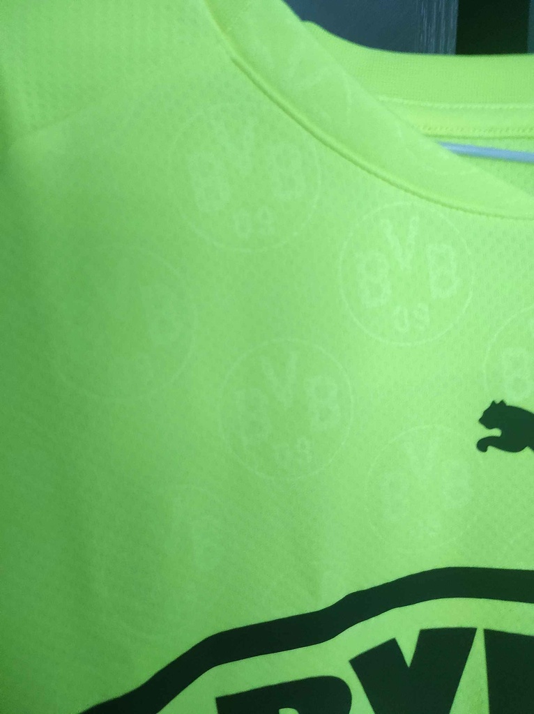 Borussia Dortmund