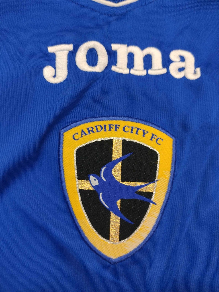 36 - Cardiff City - Hasselbaink