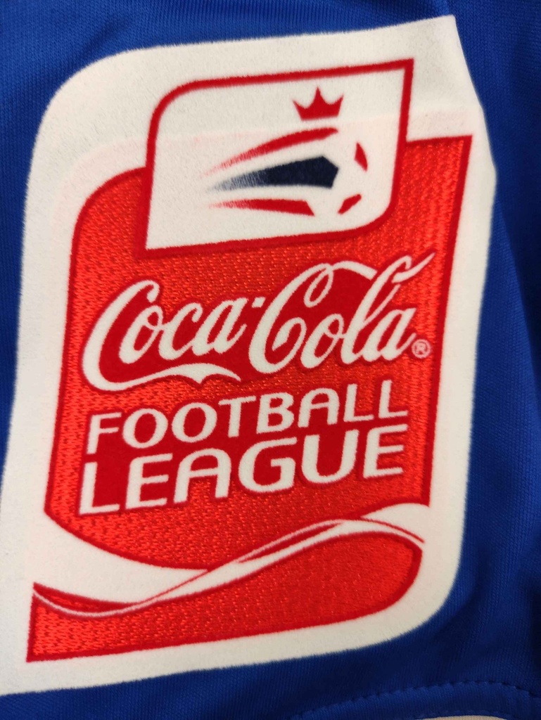 36 - Cardiff City - Hasselbaink