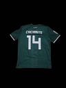 14 - México - Chicharito