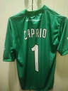 1 - Ferro de general pico - Caprio
