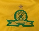 Mamelodi Sundowns FC