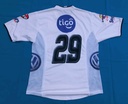 29 - Comunicaciones F.C.