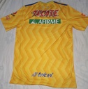 Tigres