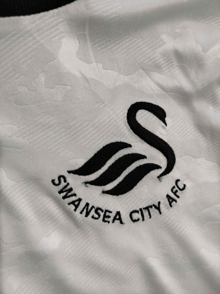 Swansea City - ID18335 - img2
