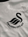 Swansea City - ID18335 - img2