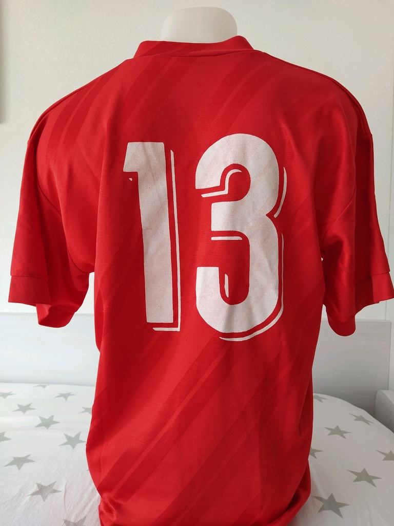 13 - Osasuna