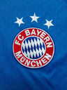 1 - FC Bayern München - ID25595 - img3