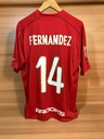 14 - Fernandez