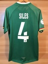4 - Siles