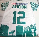 12 - Córdoba CF - Afición