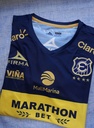 Everton de Viña del Mar