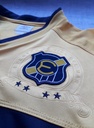 Everton de Viña del Mar