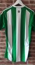 Real Betis Balompié