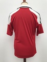 Selección danesa