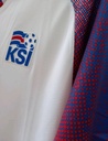 Seleccion de Islandia