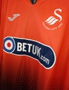 Swansea