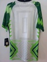 Seleccion de Nigeria