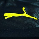 Ballspielverein Borussia 09 e.V. Dortmund