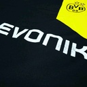 Ballspielverein Borussia 09 e.V. Dortmund